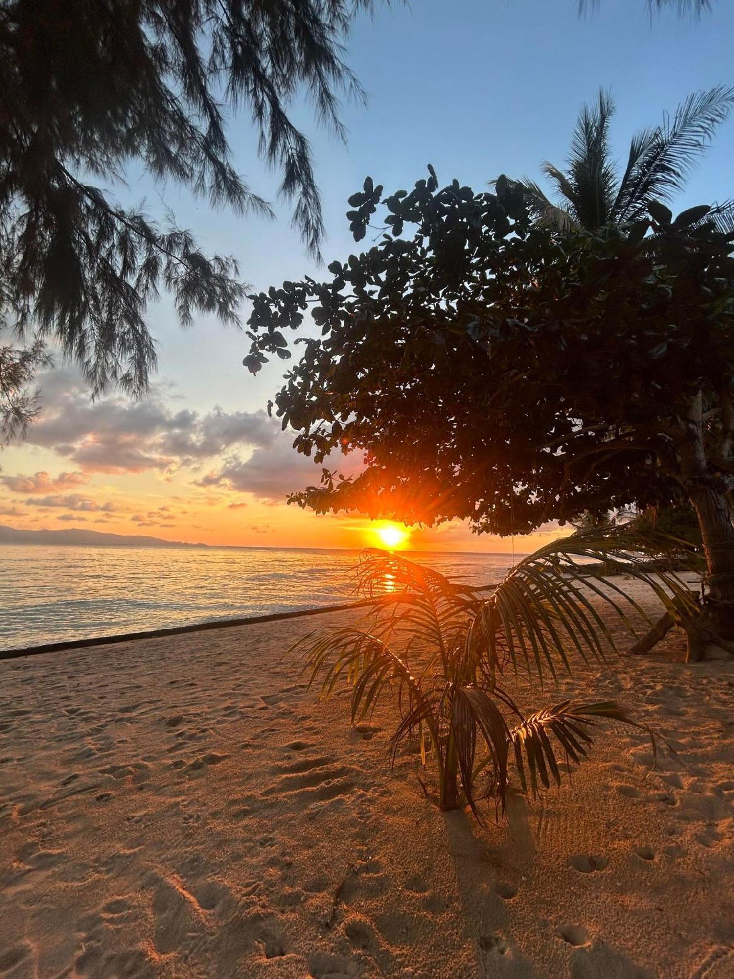 Pinks Bungalow Baan Tai Dış mekan fotoğraf